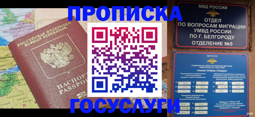 прописка регистрация в Ртищево